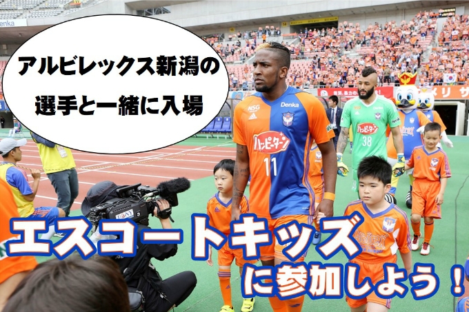 photo photo
