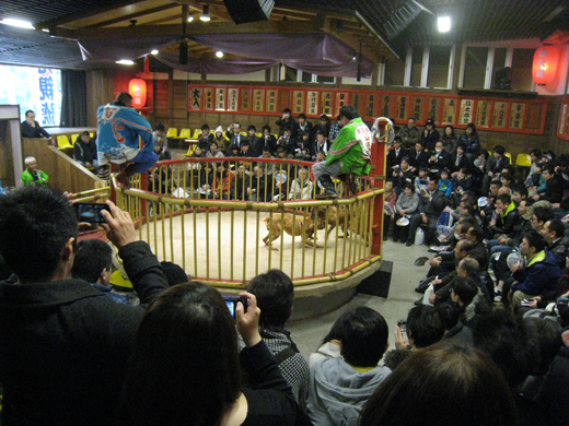 photo photo