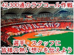 photo photo