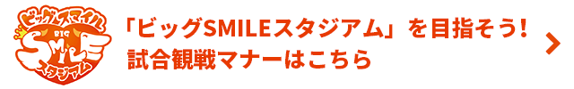 ビッグスマイルスタジアムの枠新設