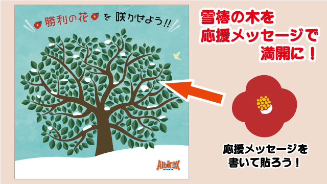 3月7日（土）高知戦】応援メッセージを書いて、雪椿の花を満開にしよう