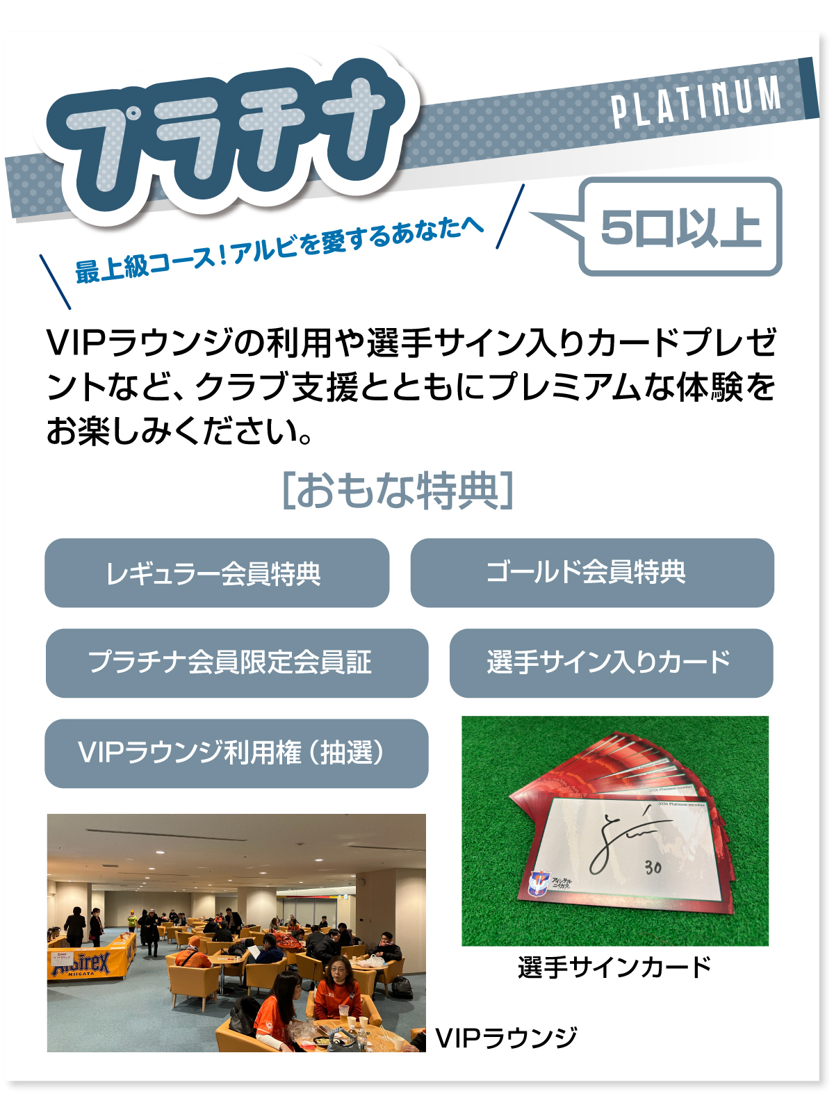 プラチナコース説明