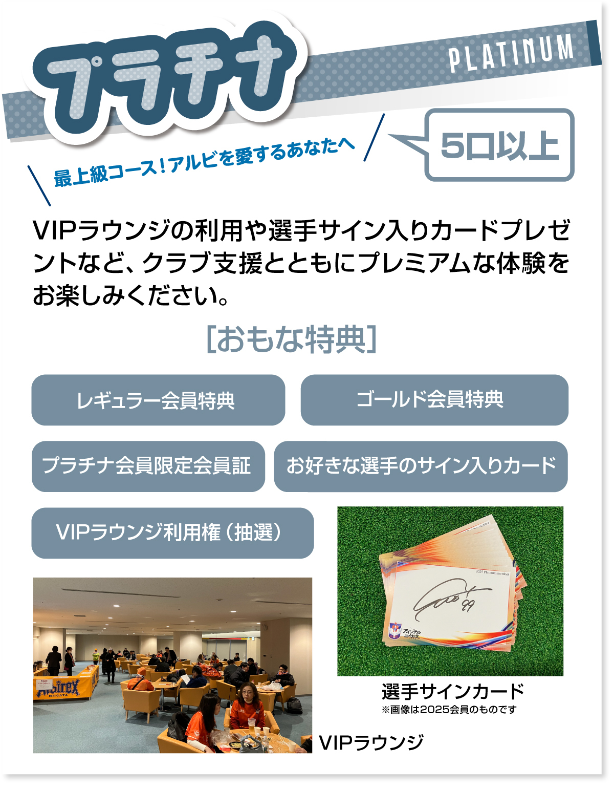 プラチナコース説明