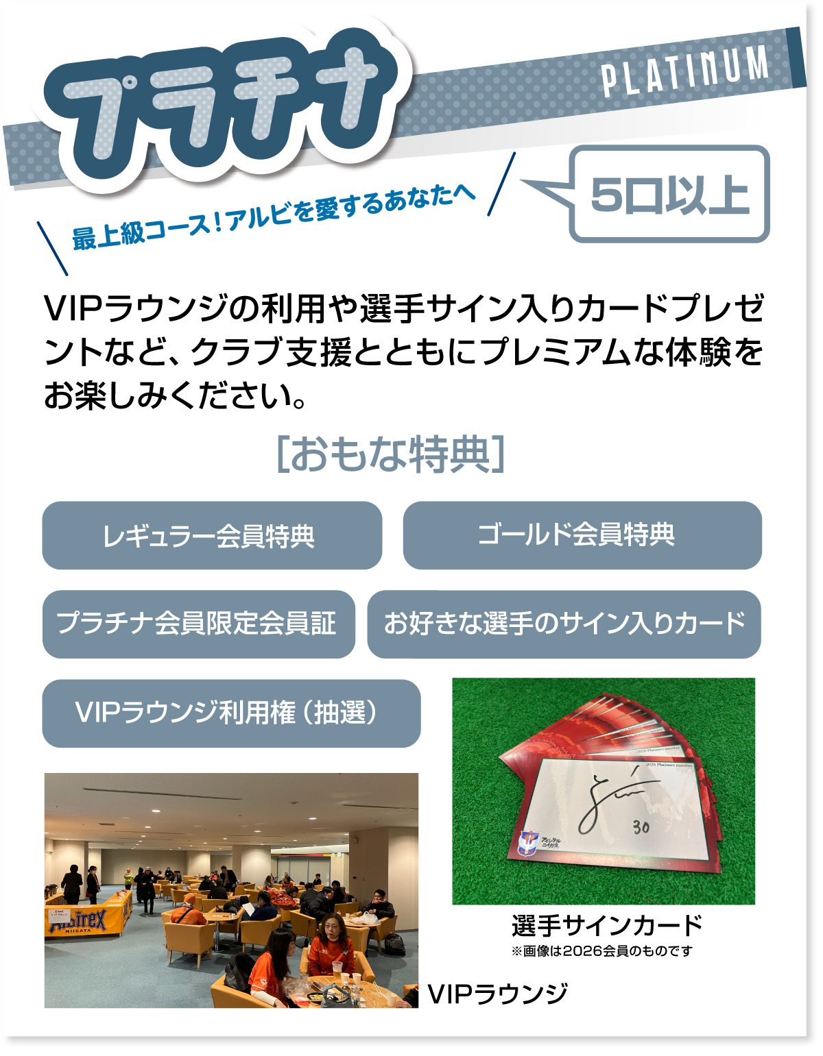 プラチナコース説明