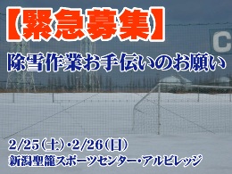 【緊急募集】新潟聖籠スポーツセンター・アルビレッジ除雪作業お手伝いのお願い
