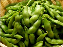 8月4日柏戦「くろさき茶豆販売ブース」出店のお知らせ