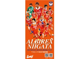『オフィシャルハンドブック2013』　3月2日（土）より発売開始！ 
