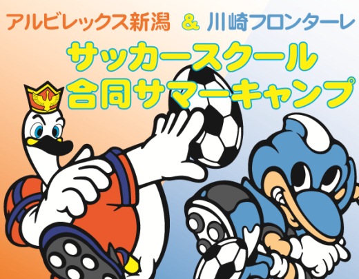いよいよ7月10日（水）より一般受付開始！『アルビレックス新潟＆川崎フロンターレサッカースクール合同サマーキャンプ』参加者募集！