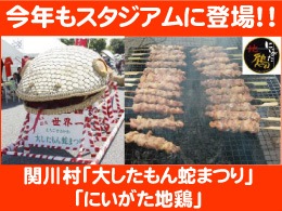 8月3日（土）清水戦にて関川村「大したもん蛇まつり」・「にいがた地鶏」売店が登場！