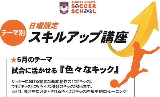 1日からの参加もOK！ 日曜限定短期スクール『スキルアップ講座』開催！