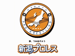 8月23日徳島戦「新潟プロレス」開催決定！  謎のニューヒーロー「マスクド・アルビレックス」初見参！