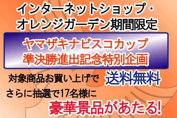 【期間限定】祝！ヤマザキナビスコカップ準決勝進出記念特別企画実施のお知らせ