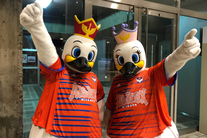 みんなで投票しよう Jリーグマスコット総選挙19開催中 アルビレックス新潟 公式サイト Albirex Niigata Official Website