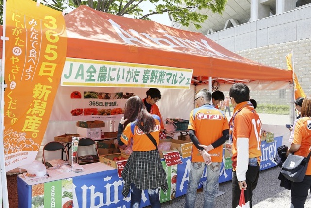 旬の春野菜を販売！ＪＡ全農にいがた「マルシェブース」出店のお知らせ