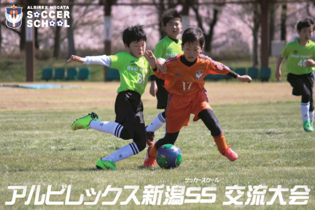 【11月9日（土）岐阜戦】今シーズン最後の『アルビレックス新潟SS交流大会』は『U-11』と『U-10』のW開催！参加チームを募集！