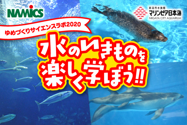 科学のおもしろさを体験しよう！『プレミアムビューボックス試合観戦付き！ゆめづくりサイエンスラボ2020』開催のお知らせ
