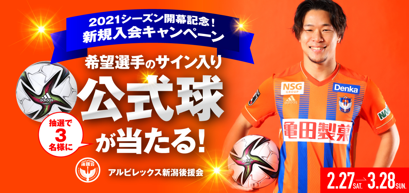 アルビレックス新潟 公式サイト Albirex Niigata Official Website