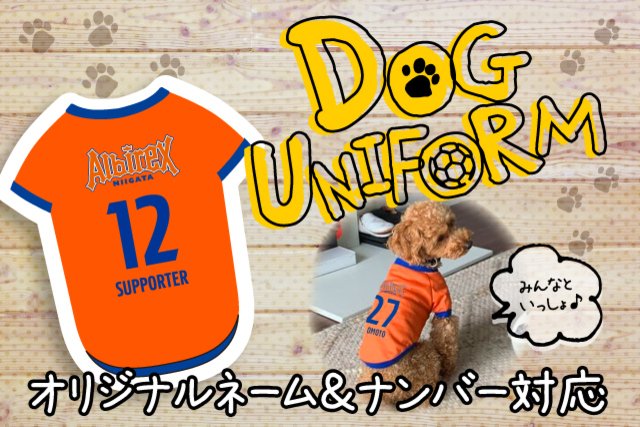 【待望の初登場】みんなとおそろいで着たいワン「ドッグユニフォーム」を予約販売！