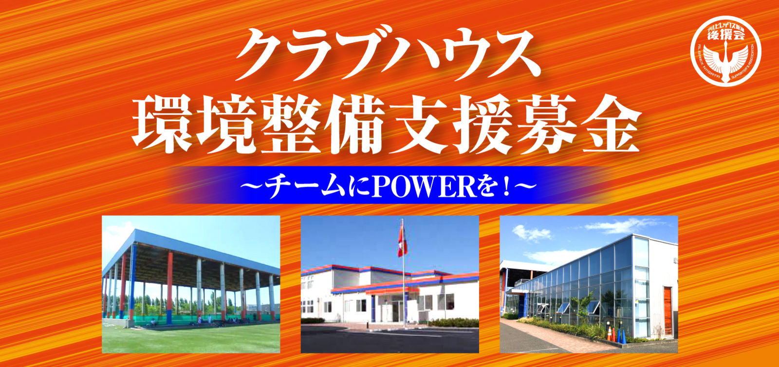アルビレックス新潟 公式サイト Albirex Niigata Official Website