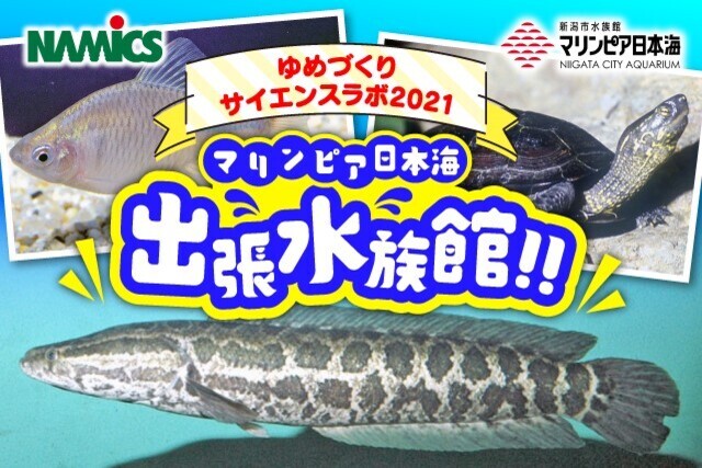 マリンピア日本海出張水族館！ナミックスゆめづくりサイエンスラボ2021開催決定！