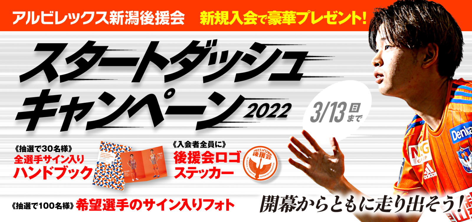 アルビレックス新潟 公式サイト Albirex Niigata Official Website