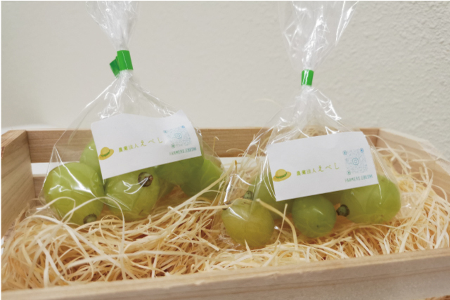 9月3日（土）大分戦　山梨県中央市のPRブースが登場！