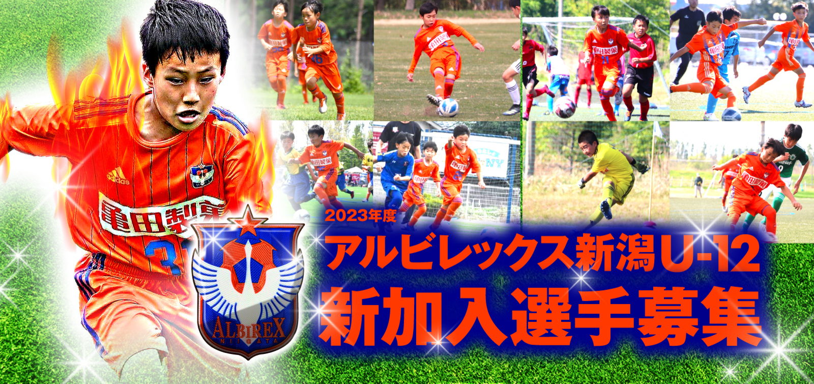アルビレックス新潟 公式サイト Albirex Niigata Official Website