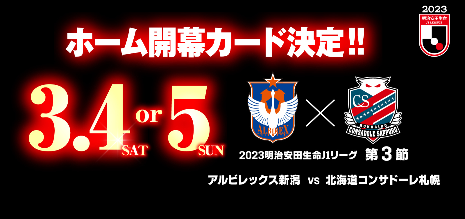 アルビレックス新潟 公式サイト Albirex Niigata Official Website