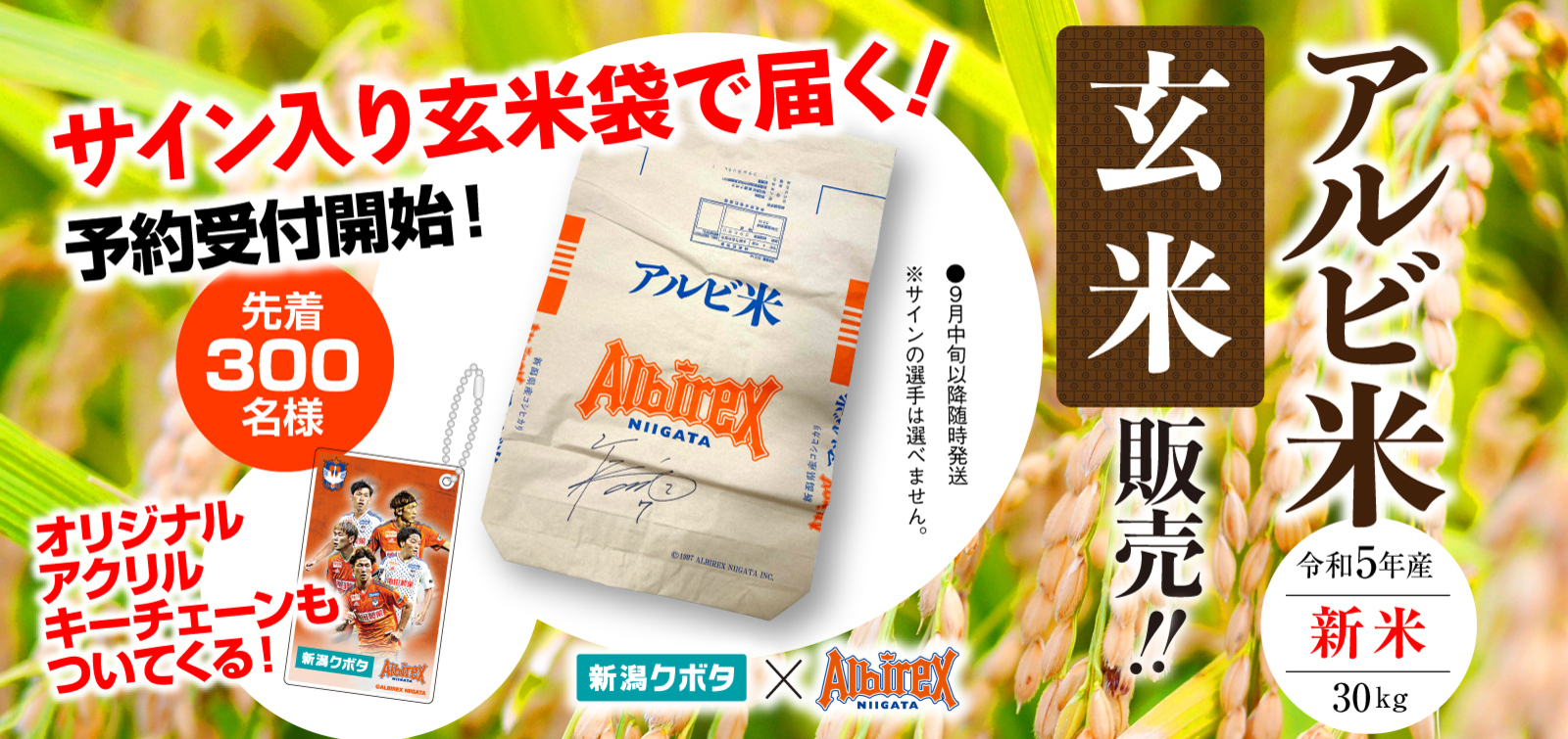 アルビレックス新潟 公式サイト|ALBIREX NIIGATA OFFICIAL WEBSITE