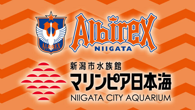 マリンピア日本海でコラボグッズ販売開始！