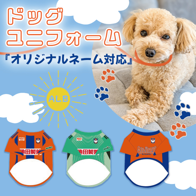 アルビレックス新潟 公式サイト｜ALBIREX NIIGATA OFFICIAL WEBSITE