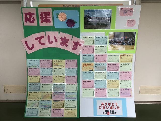アルビレックス 掲示板