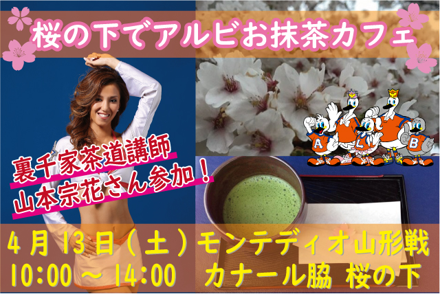 4月13日 土 モンテディオ山形戦 桜の下でアルビお抹茶カフェ イベントに元アルビレックスチアリーダーズの裏千家茶道講師 山本宗花 氏が参加 アルビレックス新潟 公式サイト Albirex Niigata Official Website