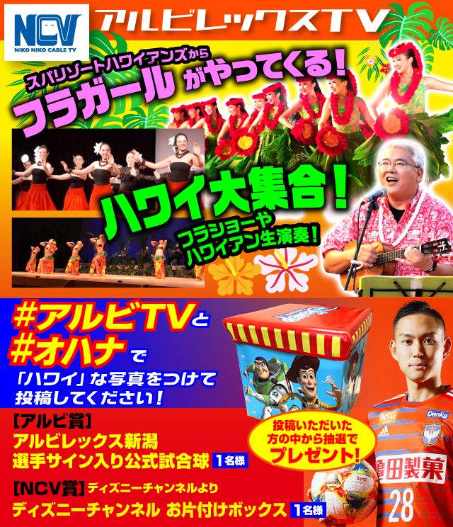 19 明治安田生命j2リーグ 第32節 新潟 Vs 東京v アルビレックス新潟 公式サイト Albirex Niigata Official Website