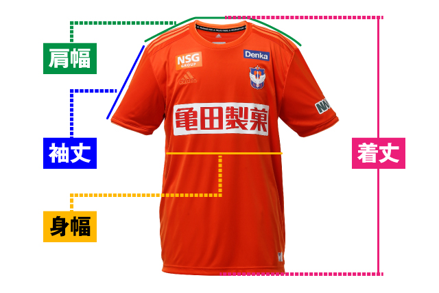 Stadium To Street シーズン新ユニフォームデザイン決定のお知らせ アルビレックス新潟 公式サイト Albirex Niigata Official Website