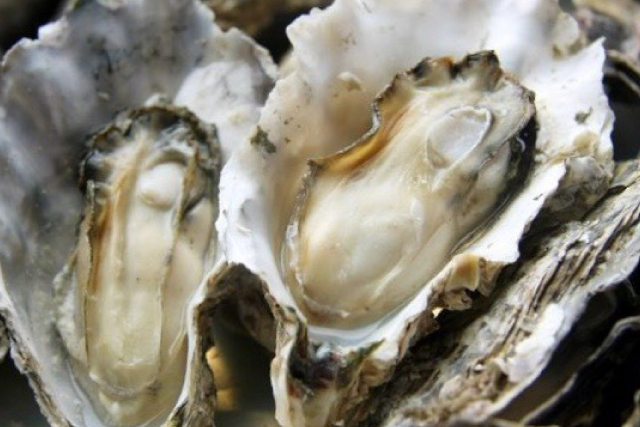 11月15日 日 ジェフユナイテッド千葉戦 選手コラボメニュー販売 スタジアムグルメ出店情報 アルビレックス新潟 公式サイト Albirex Niigata Official Website