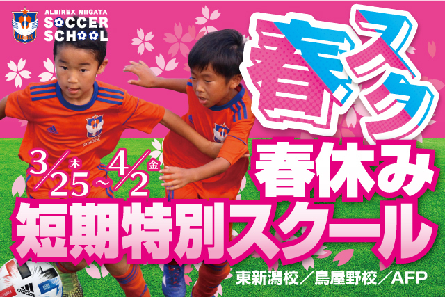 新年度へ向けて 春スク でステップアップ 春休み短期特別スクール 春スク を開催 受付開始 アルビレックス新潟 公式サイト Albirex Niigata Official Website 新年度へ向けて 春スク でステップアップ 春休み短期特別スクール 春スク を開催 受付開始 アルビレックス新潟 公式サイト Albirex Niigata Official Website