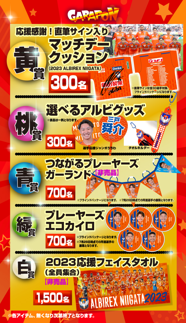 非売品新品 RAISE A SUILEN REVEAL 100名限定ピック 最終節限定