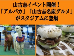 photo photo