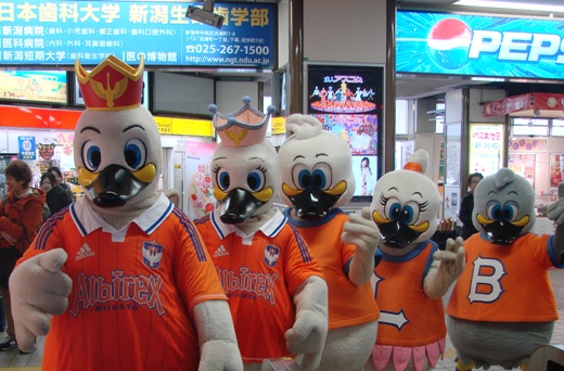 photo photo
