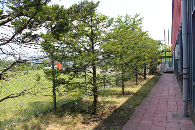 photo photo