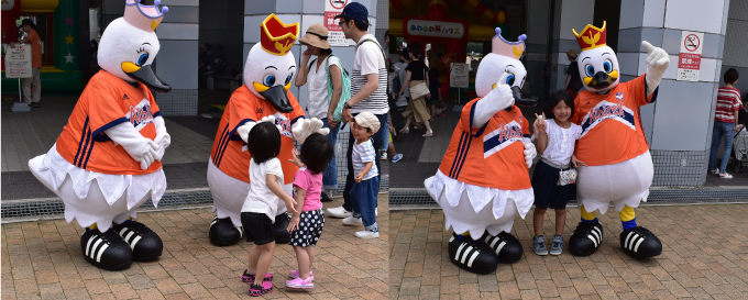 photo photo