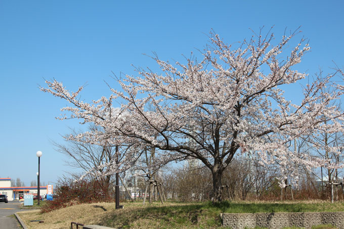 photo photo
