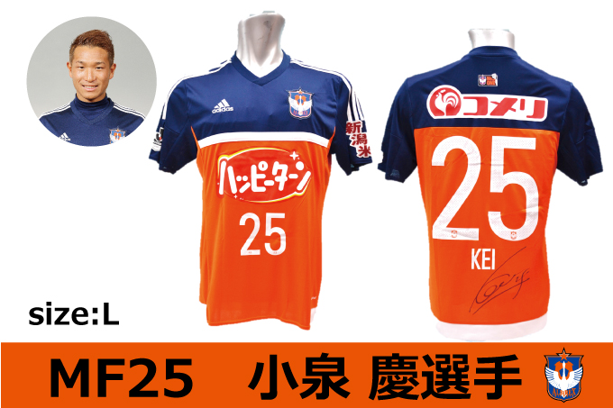 2016シーズン】カップ戦ユニフォーム・3rdユニフォーム・GKユニフォーム先行予約受付開始のお知らせ - アルビレックス新潟  公式サイト｜ALBIREX NIIGATA OFFICIAL WEBSITE