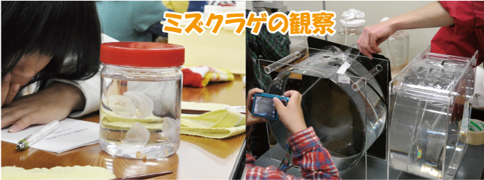 photo photo
