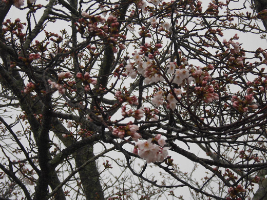 photo photo