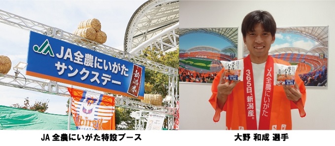 photo photo