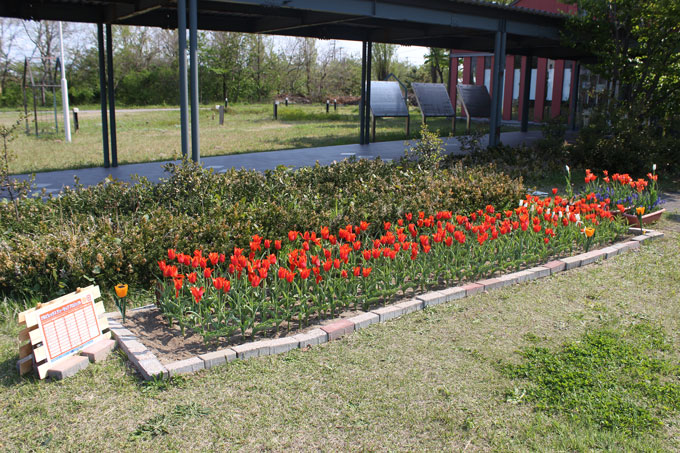 photo photo